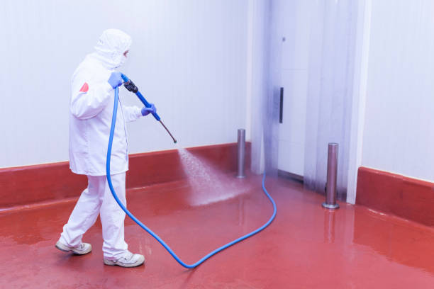 Best Concrete Sealing  in Lonsdale, MN