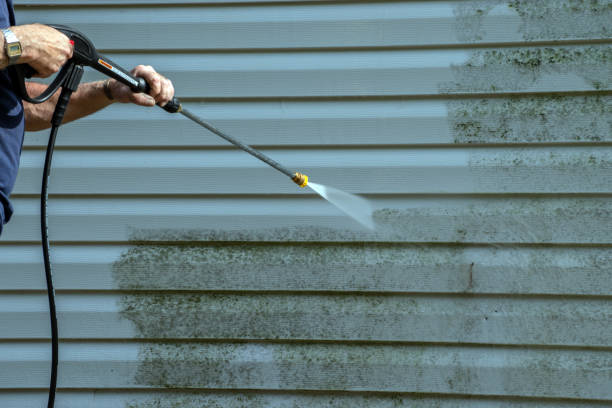 Best Roof Washing  in Lonsdale, MN